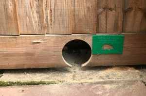 Hedgehog hole in fence